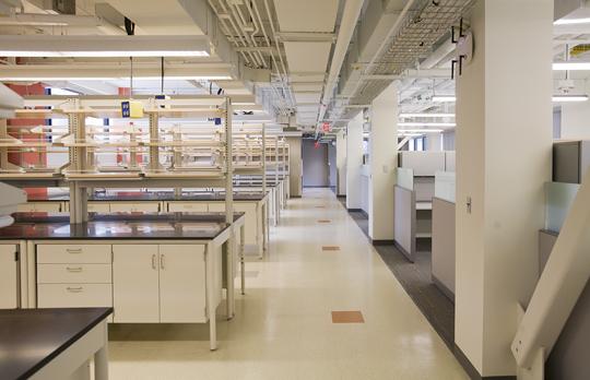 Building 31 lab (Courtesy R Bousquet Photo)